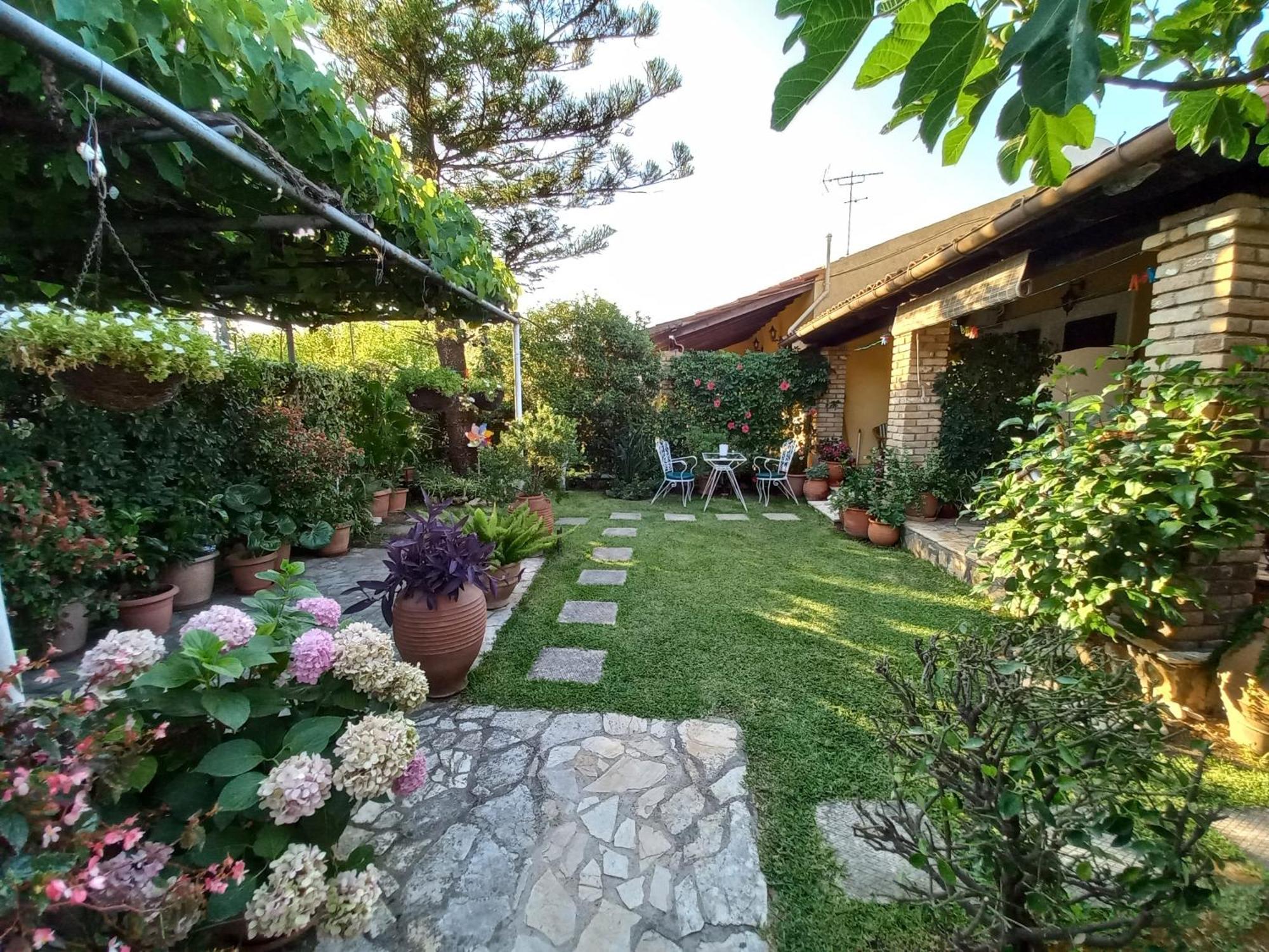 Villa Tina Country Beach Apartments Acharavi  Habitación foto
