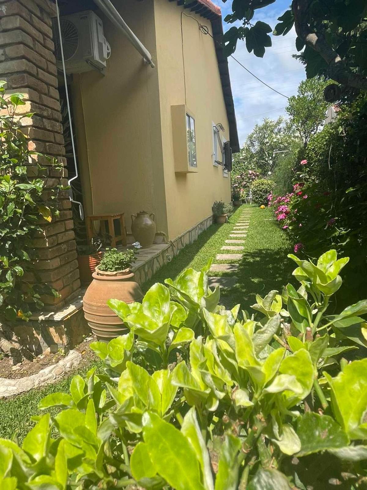 Villa Tina Country Beach Apartments Acharavi  Habitación foto